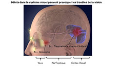 Le fonctionnement de la technologie NEXT WAVE de EBS