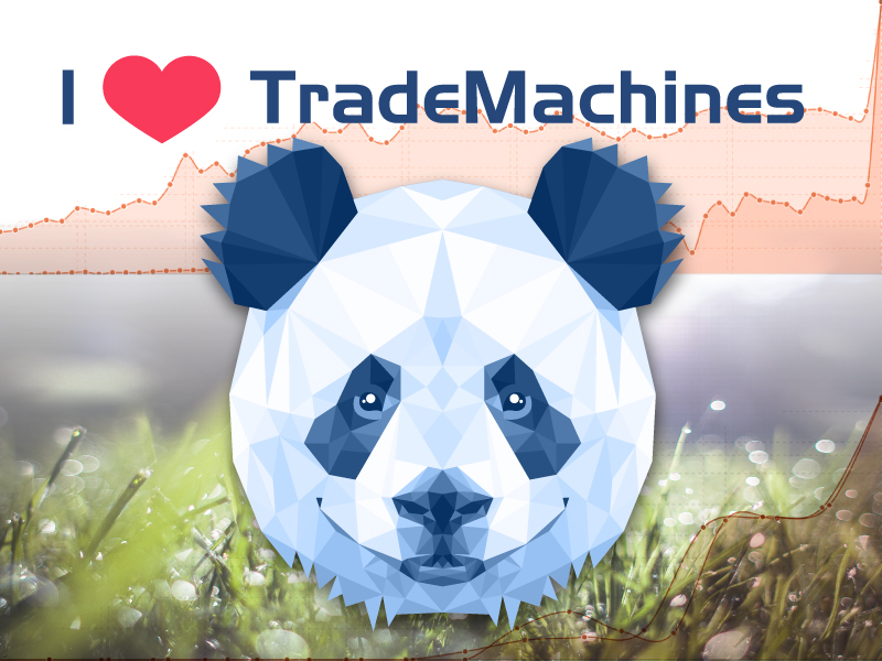 TradeMachines Improves Visibility on Google by over 260 Percent