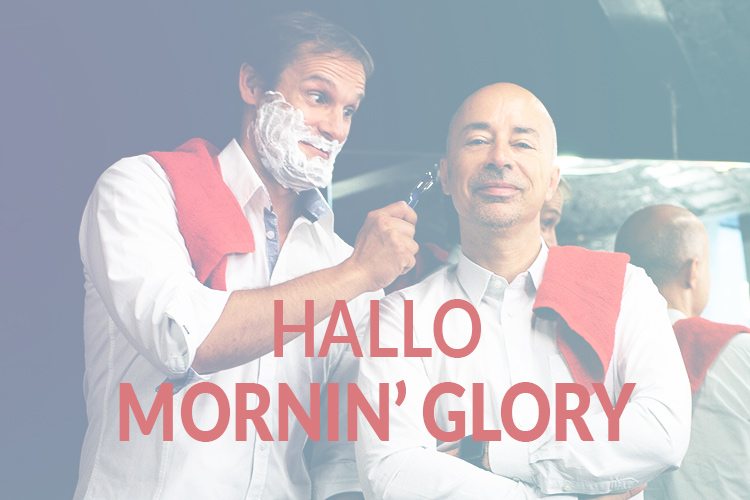 Hallo Mornin' Glory!