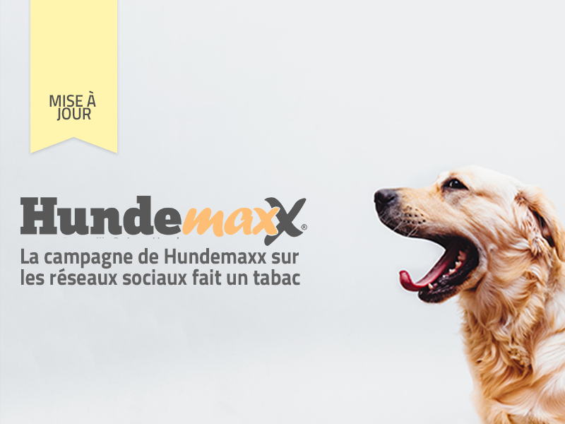 La campagne de Hundemaxx sur les réseaux sociaux fait un tabac