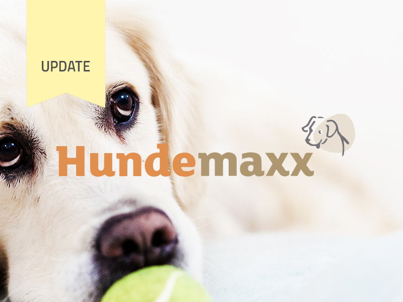 Hundemaxx läutet den Endspurt ein und berichtet von Ihren Erfolgen während der Kampagne