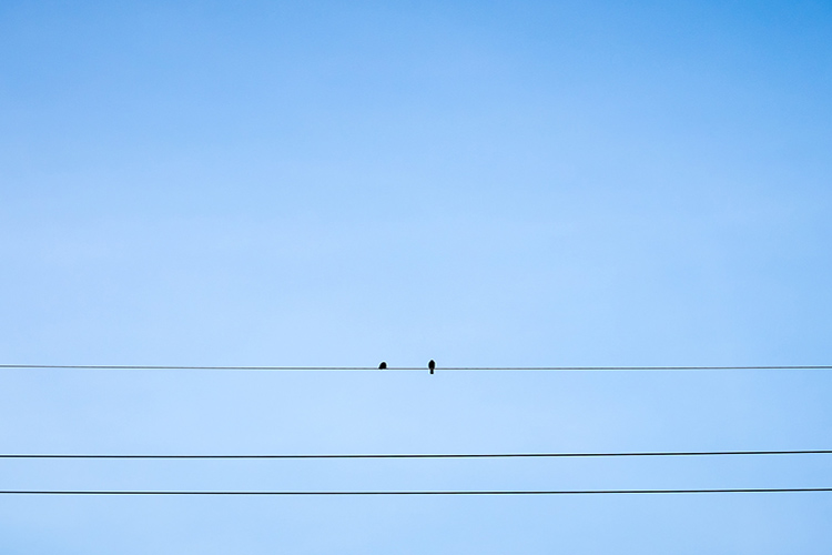 Der Himmel, unser Limit - die Geschichte des Crowdfunding