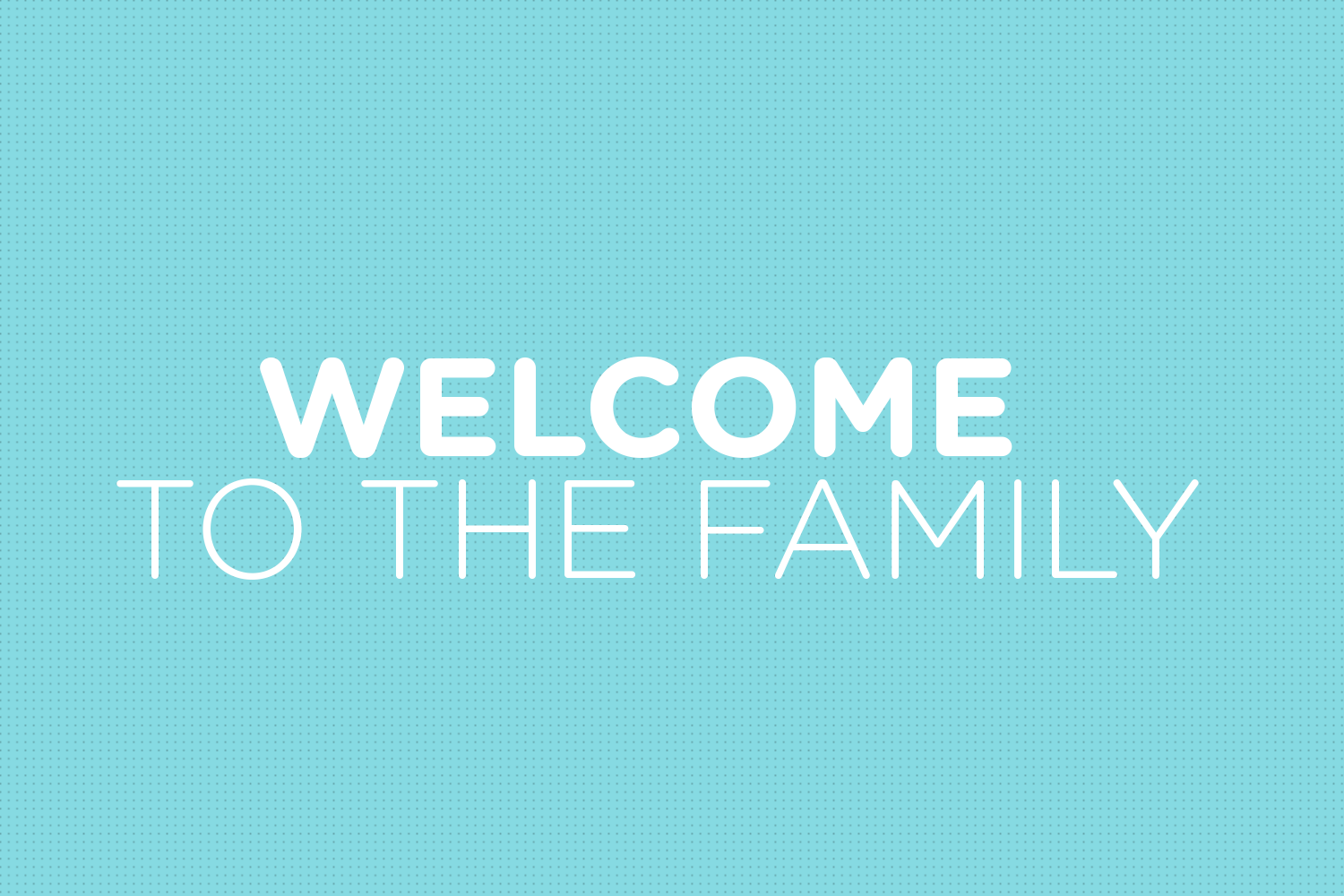 Die Companisto Family bei PwC
