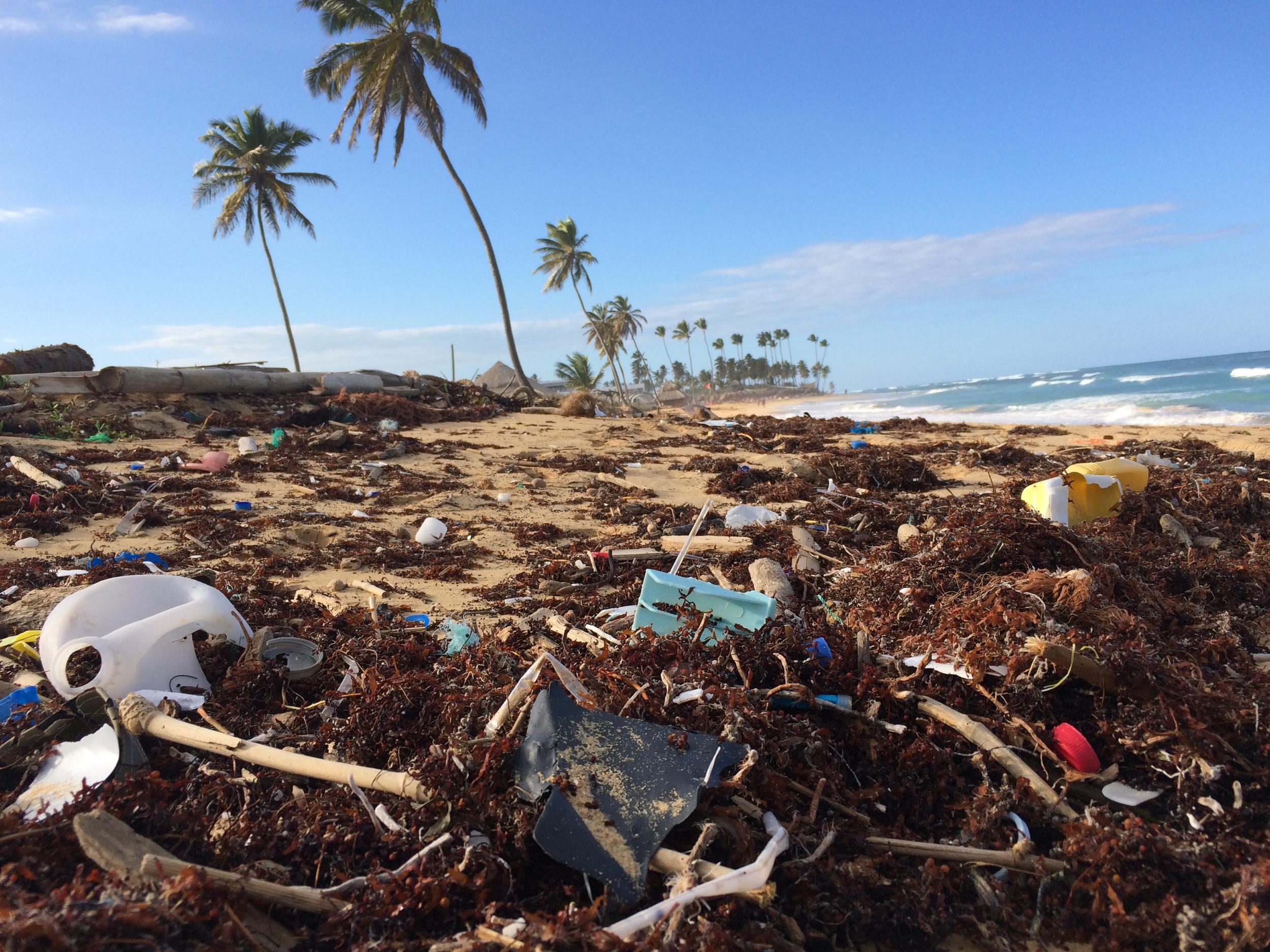 Ein Leben ohne Plastik? Diese Startups machen´s möglich | Companisto Blog