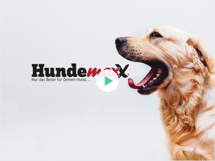 Hundemaxx Pitch Video