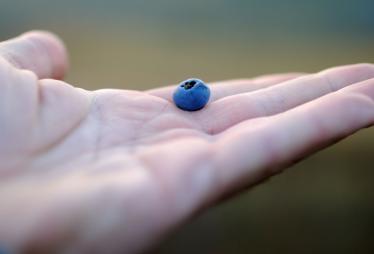 Crowdinvesting als neue Anlageklasse | Companisto