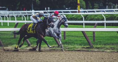 Equity Crowdfunding 6 Things | Companisto