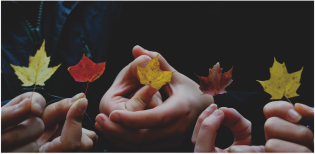 Crowdfunding für Einsteiger | Companisto