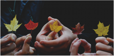 Crowdfunding für Einsteiger | Companisto