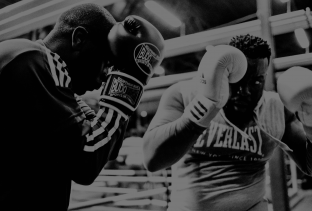 Crowdinvesting versus ICOs | Companisto