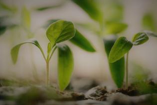 Private Equity einfach erklärt | Companisto