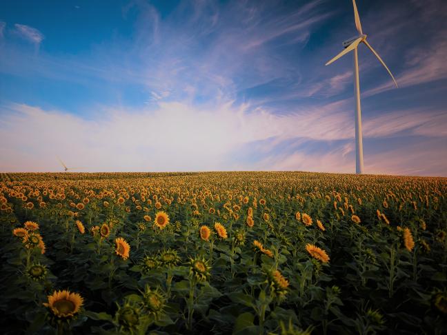 Impact Investing Interview | Companisto