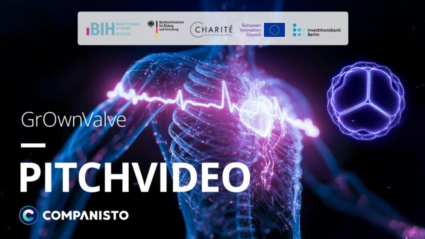 GrOwnValve Pitchvideo