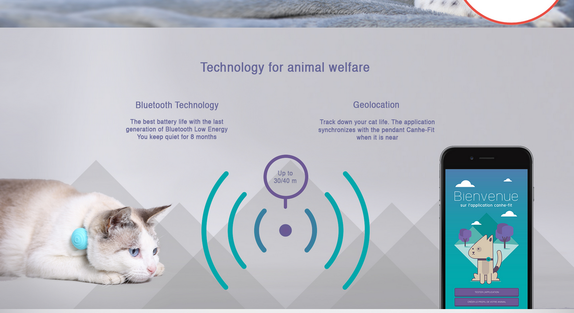 Foto: Screenshot der website canhegat.com