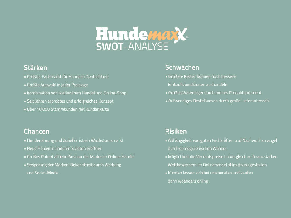 SWOT-Analyse Hundemaxx