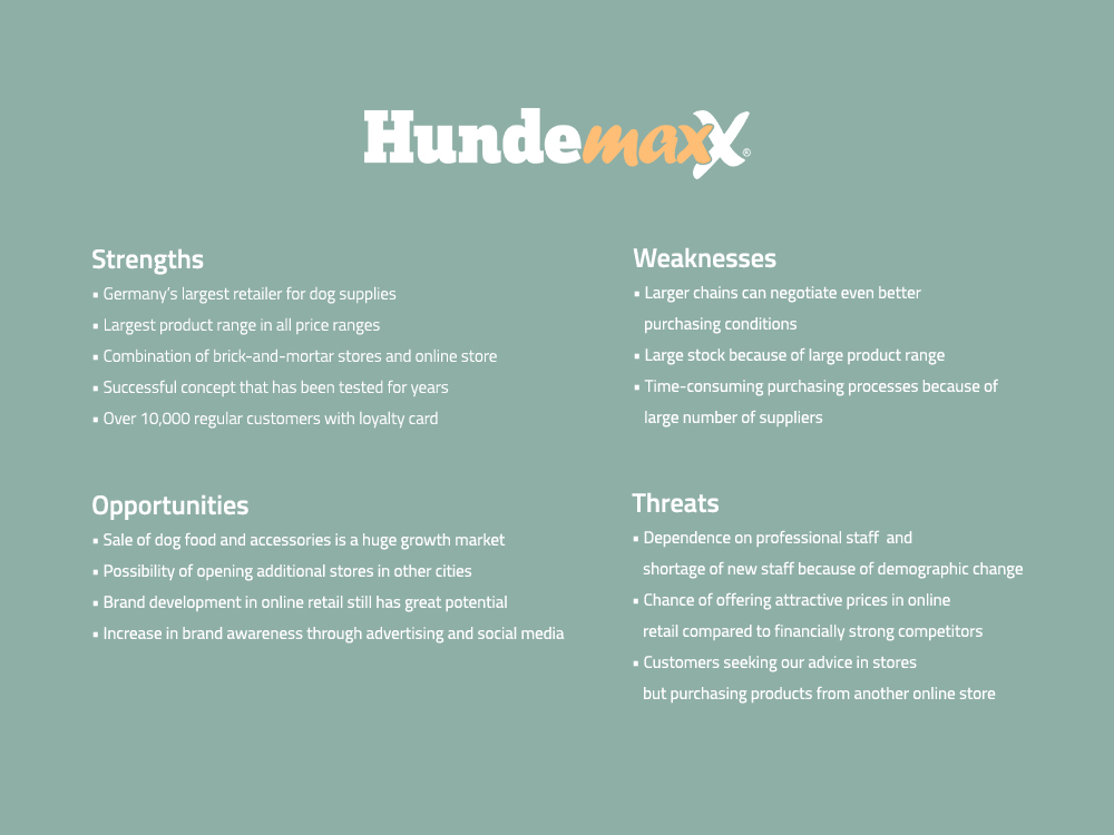 SWOT-Analyse Hundemaxx