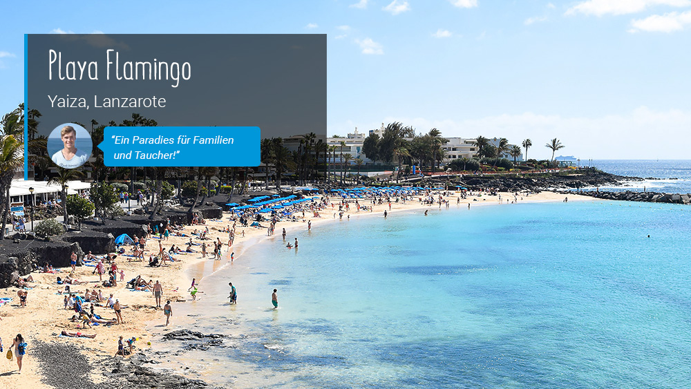 Beach-Inspector - Playa Flamingo