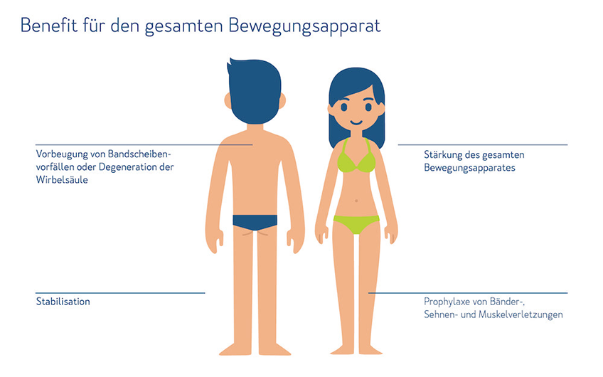 FitW - Benefit für den gesamten Bewegungsapparat