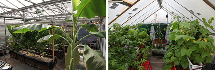 BE Food - Prototyp auf Dachterasse