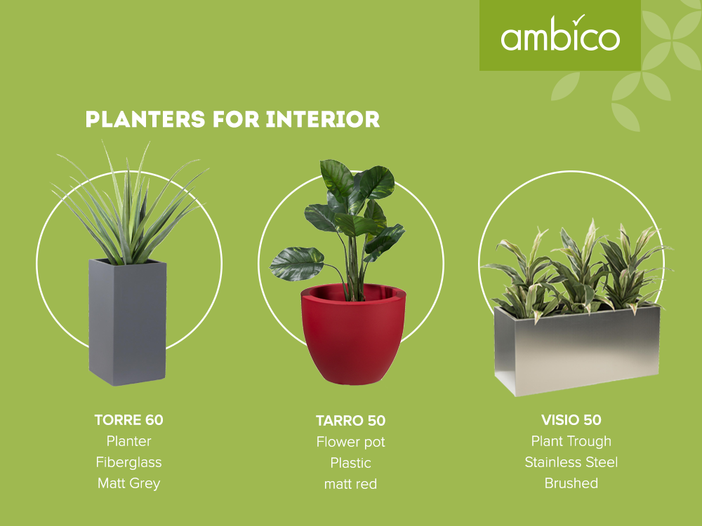 ambico planters for interior