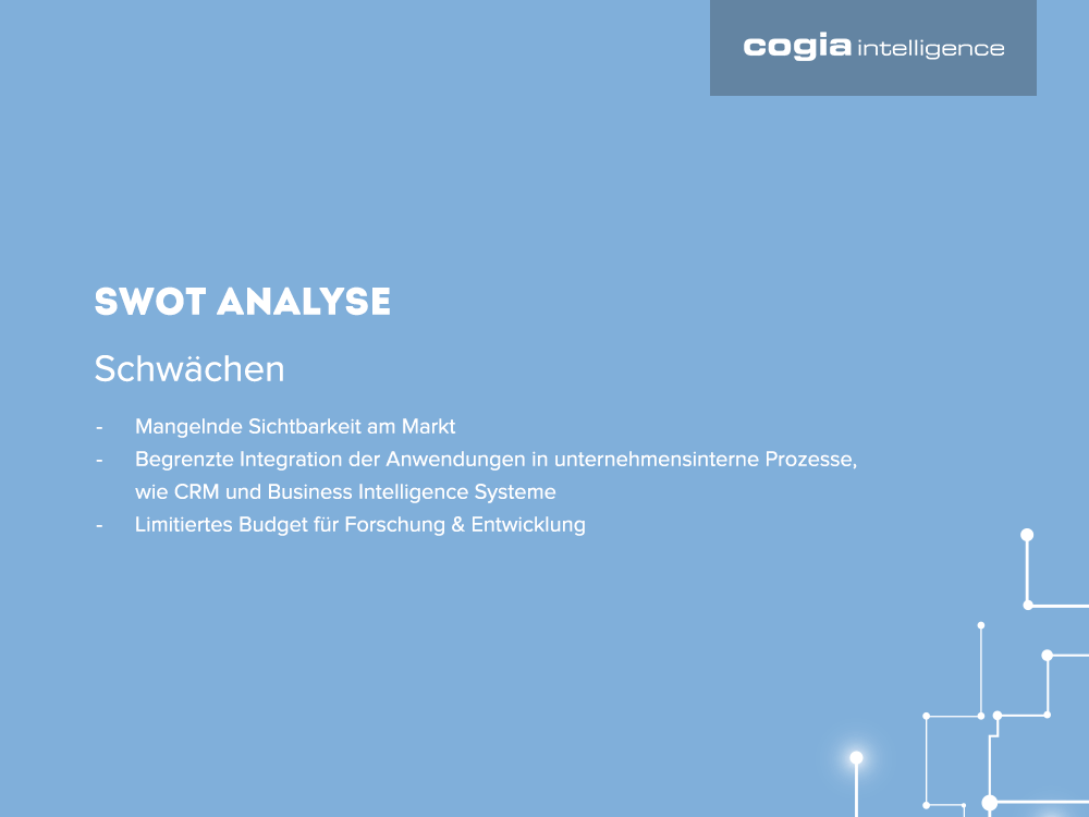 SWOT - Schwächen Cogia