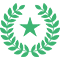 Senator Badge